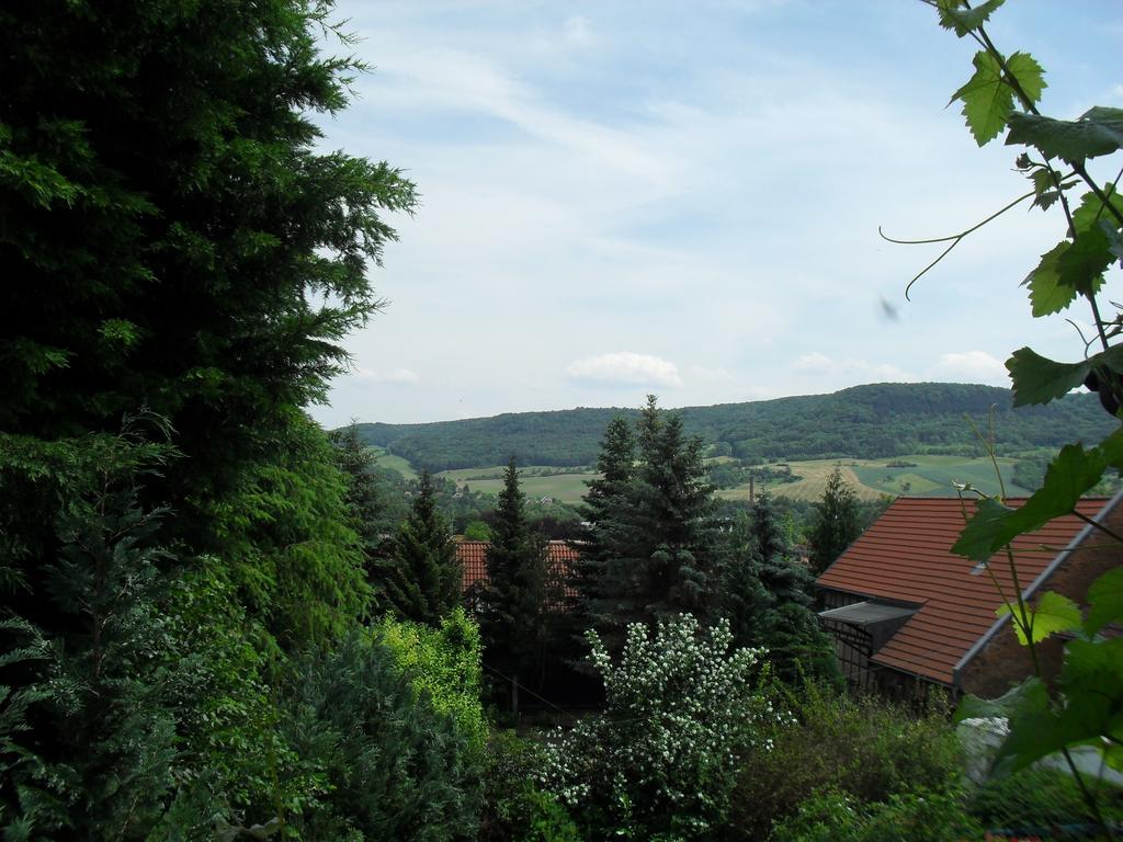 Ferienwohnung Bergblick Jena Quarto foto